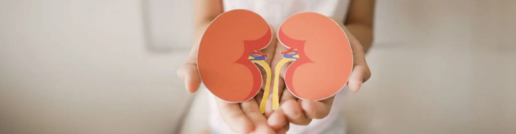 Kidney Transplant Treatment in Lucknow
