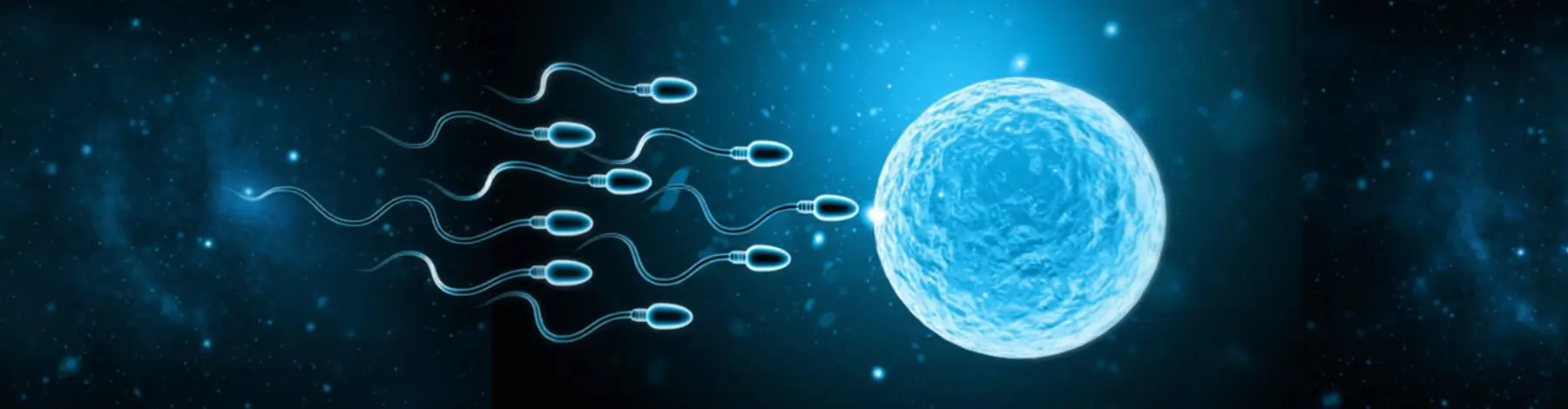 Male Sexual Disorder & Male Infertility Treatment in Lucknows