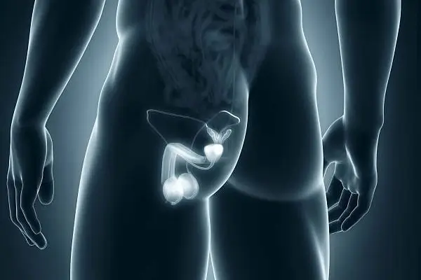 Penile Implant Surgery specialist in Lucknow Dr. Praveen Pandey