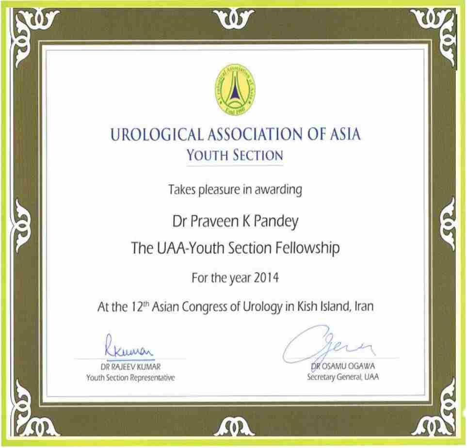 best urologist in lucknow,best urology clinic in lucknow,bladder stone treatment in lucknow,dr praveen urologist in lucknow,kidney cancer treatment in lucknow,kidney specialist in Lucknow,